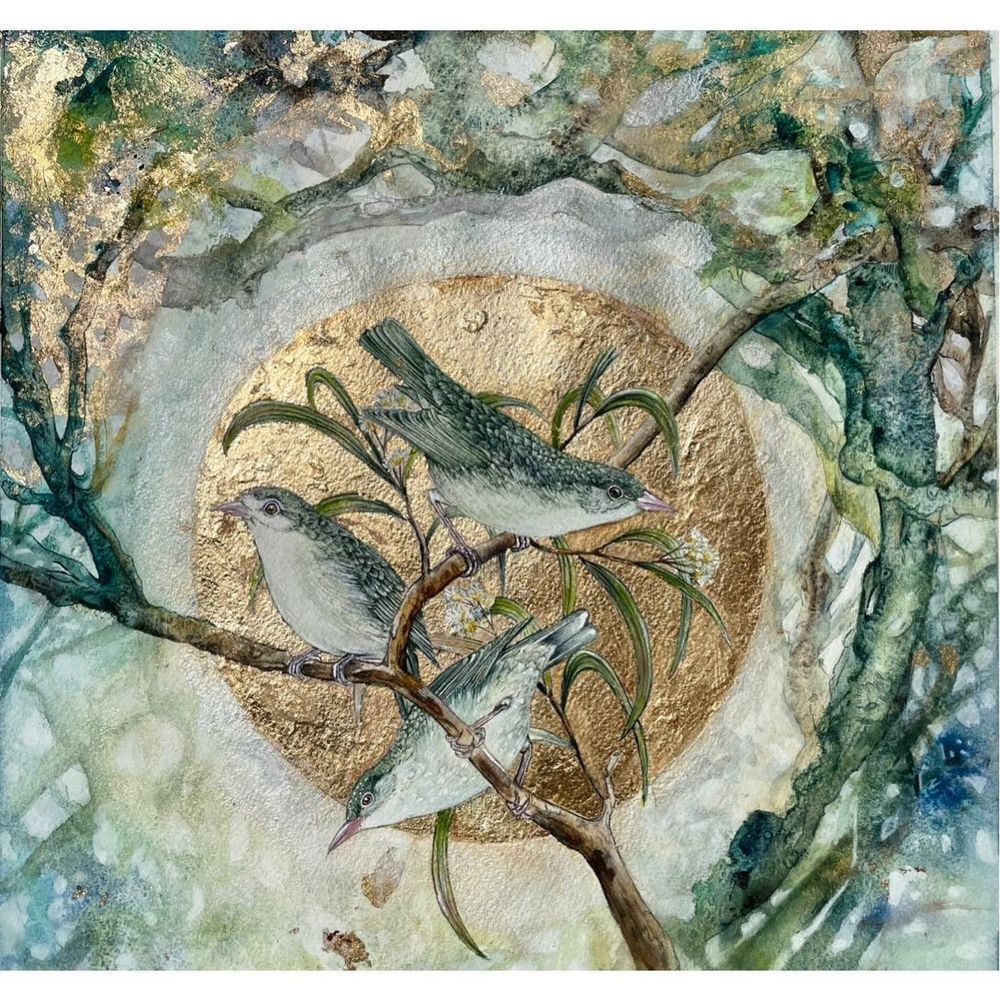Endangered Kaua'i Honeycreeper Watercolor painting print Alessandra Jann-Jordan